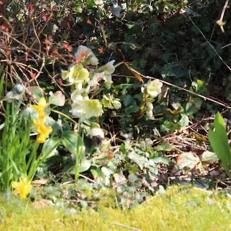 Vintage Дом отдыха Дюрбюи