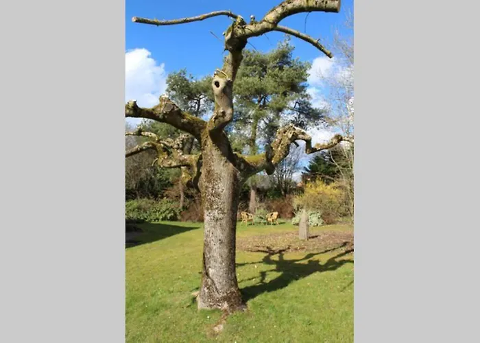 Vintage Hébergement de vacances Durbuy