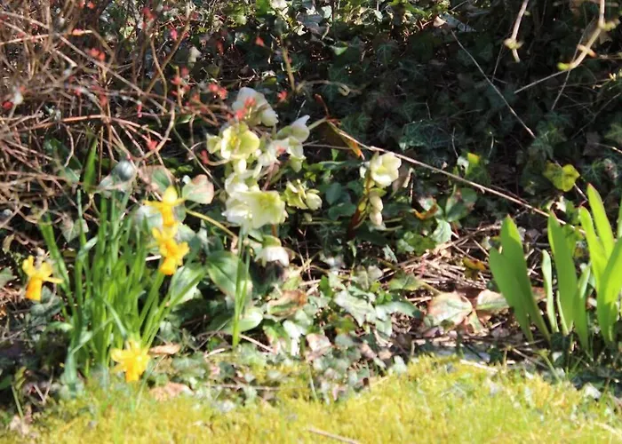 Vintage Hébergement de vacances Durbuy